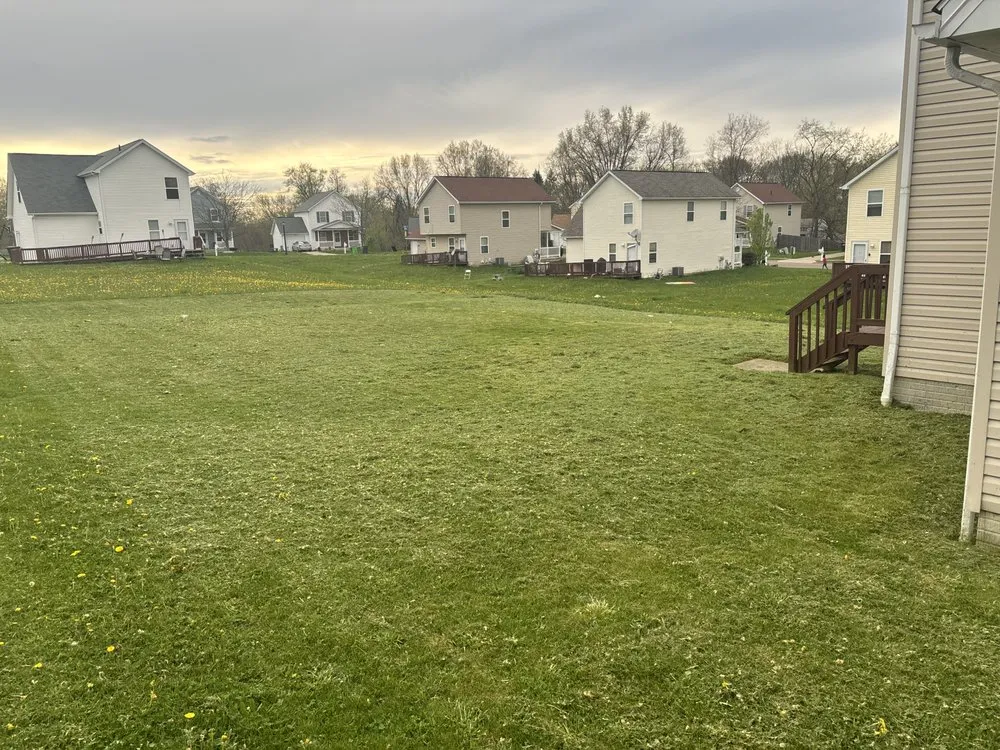 Expert yard maintenance for year-round maintenance in Canton, OH by Richards Reliable Sources