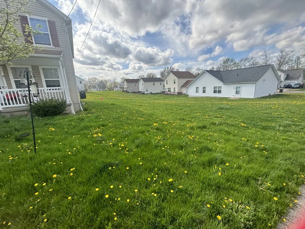 Expert landscape design experts serving Canton, OH - Richards Reliable Sources