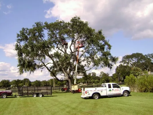 Richards Tree and Landscape Service Logo