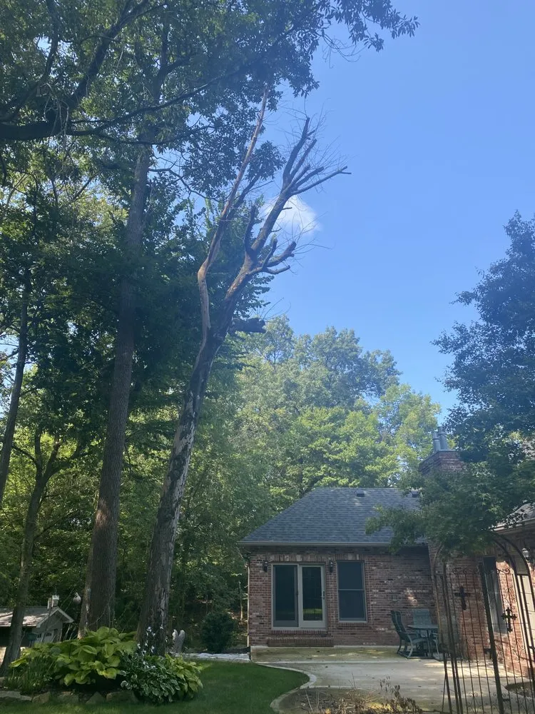 Local lawn care service near you in Edwardsville, IL by Richard's Tree Service