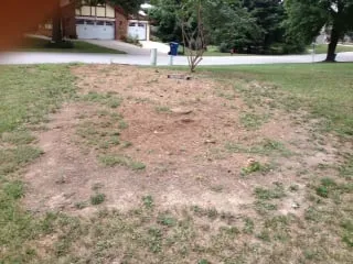 Local lawn mowing service in Edwardsville, IL - Richard's Tree Service