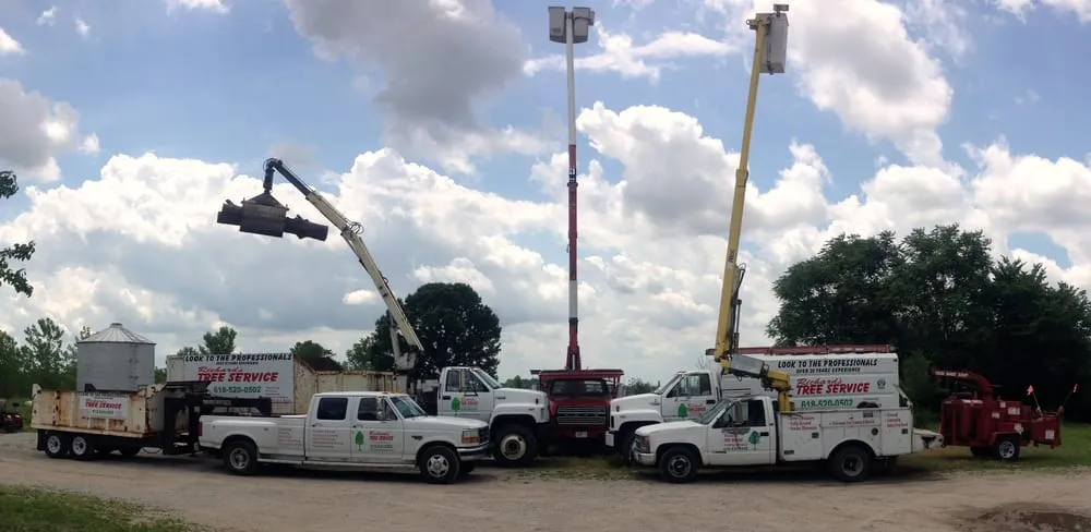 Custom garden landscaping in Edwardsville, IL - Richard's Tree Service