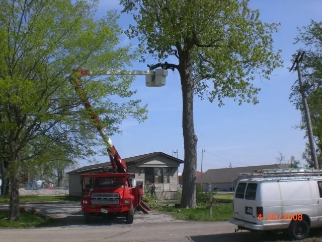 Expert landscaping services in Edwardsville, IL - Richard's Tree Service