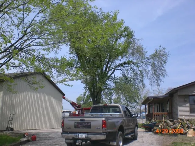 Expert outdoor landscaping experts serving Edwardsville, IL - Richard's Tree Service