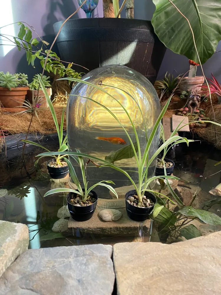 Expert landscaping services experts serving Cleveland, OH - Richards Your Outdoor Connection