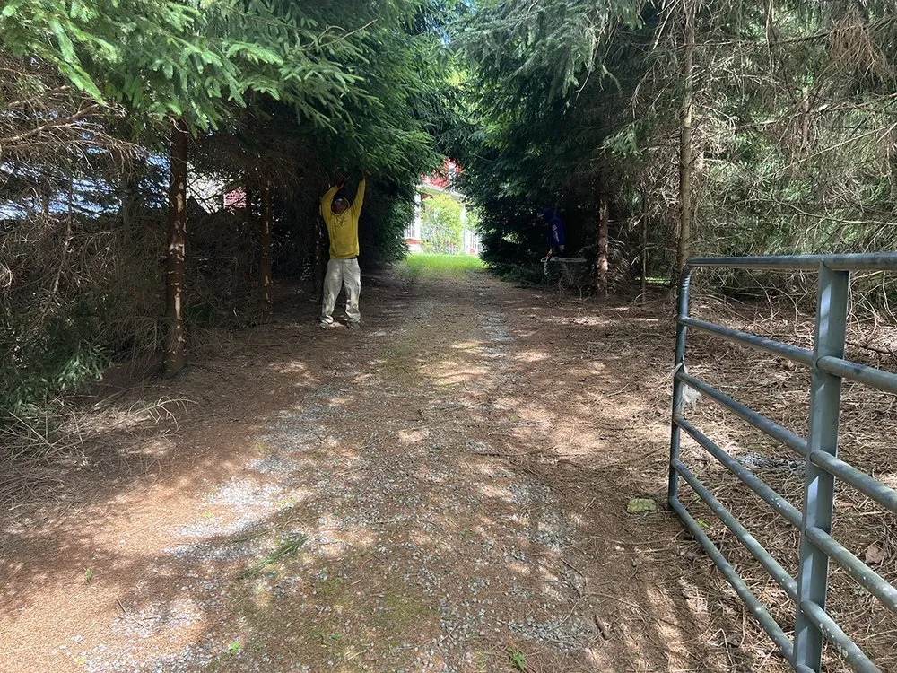 Reliable landscape installation in Sparta, NC by Richardson Farms Lawn Care