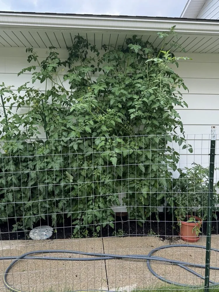 Affordable landscape design in Cleveland, OH - Richardson's Greenhouse