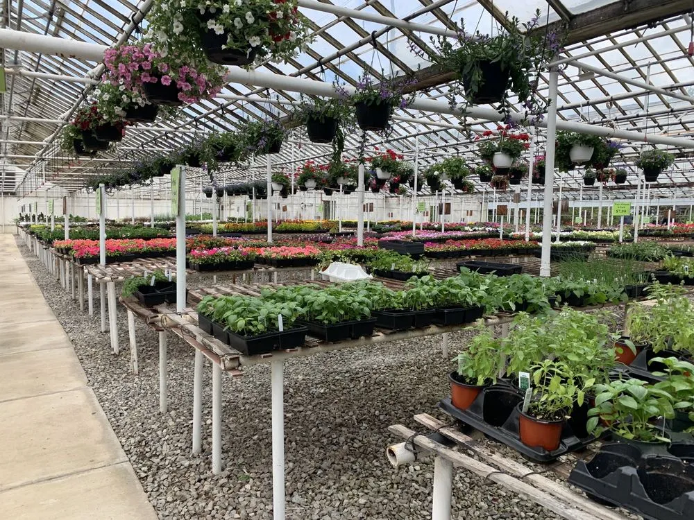 Affordable outdoor landscaping for outdoor upgrades in Cleveland, OH by Richardson's Greenhouse