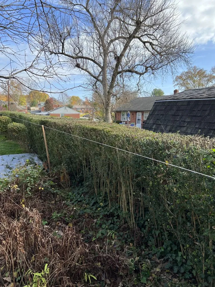 Local landscape installation in Brookhaven, PA by Richardson’s Landscaping & Property Management