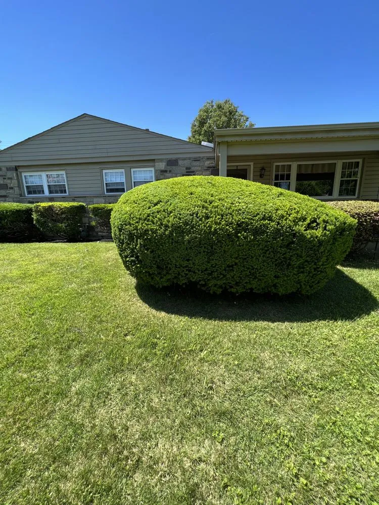 Affordable yard maintenance for homes in Brookhaven, PA by Richardson’s Landscaping & Property Management