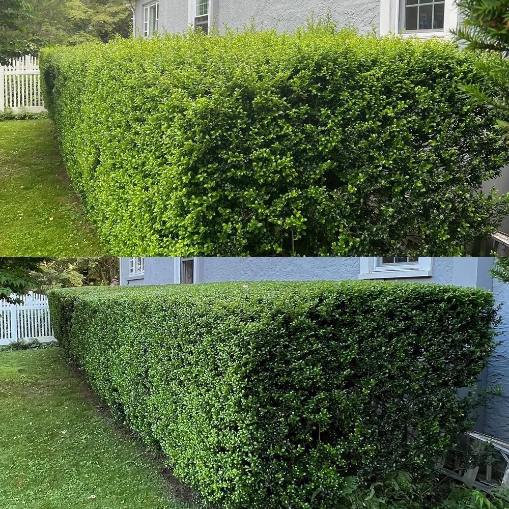 Custom landscape design in Brookhaven, PA by Richardson’s Landscaping & Property Management