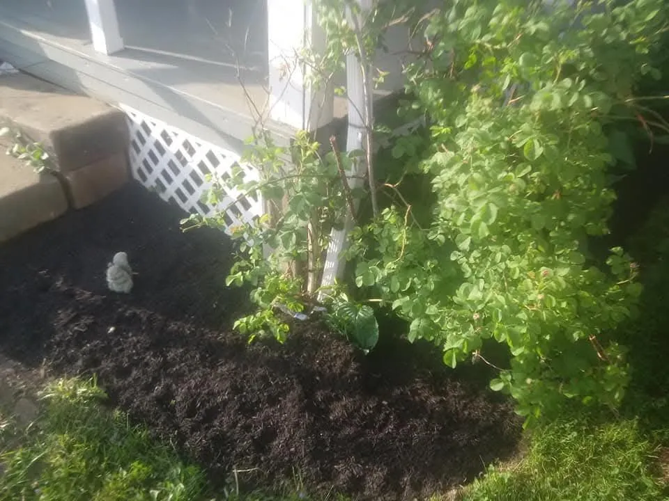 Top-rated lawn mowing service for homes across Mansfield, OH - Riches Landscaping & Hauling