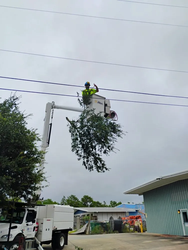 Top-rated landscaping services experts serving Crestview, FL - Riches Tree Removal