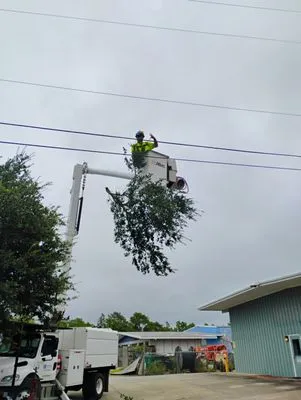 Riches Tree Removal Logo