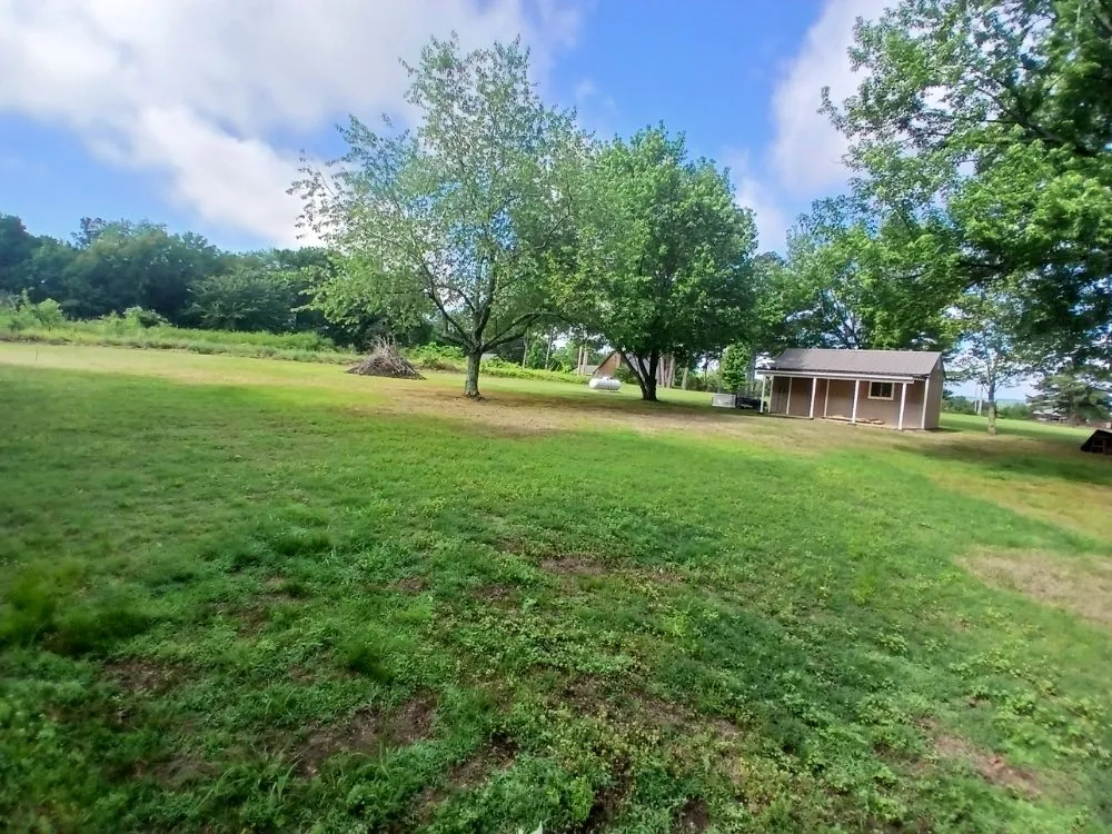 Expert yard cleanup service in Dyer, AR by Richeys Landscaping & Small Engine Repair