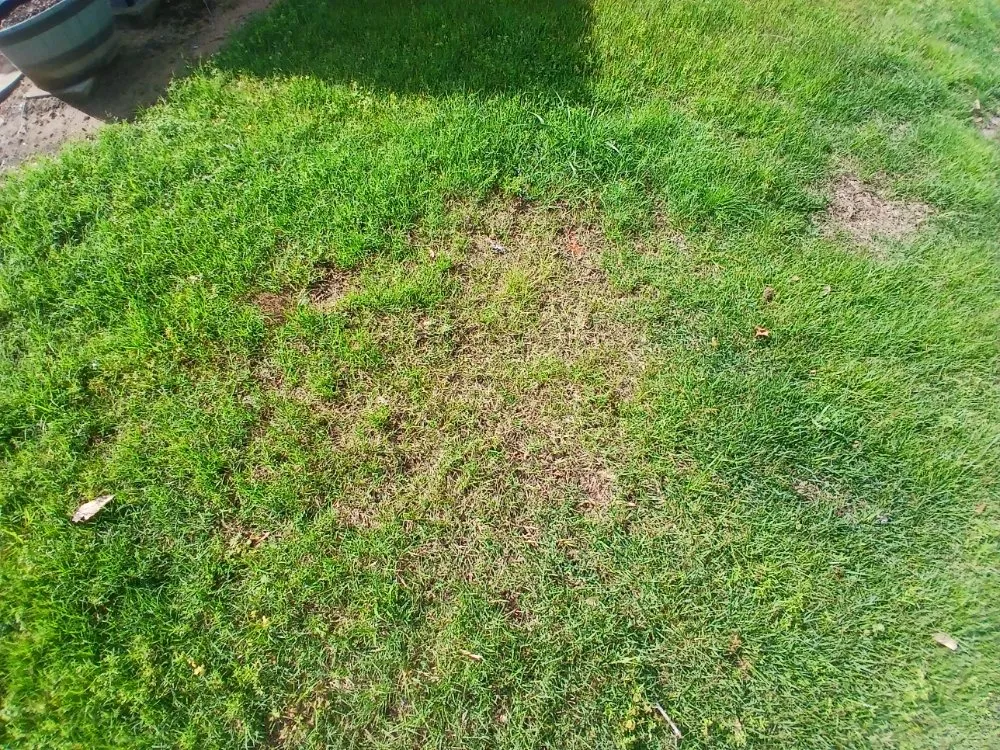 Trusted landscape installation in Dyer, AR - Richeys Landscaping & Small Engine Repair