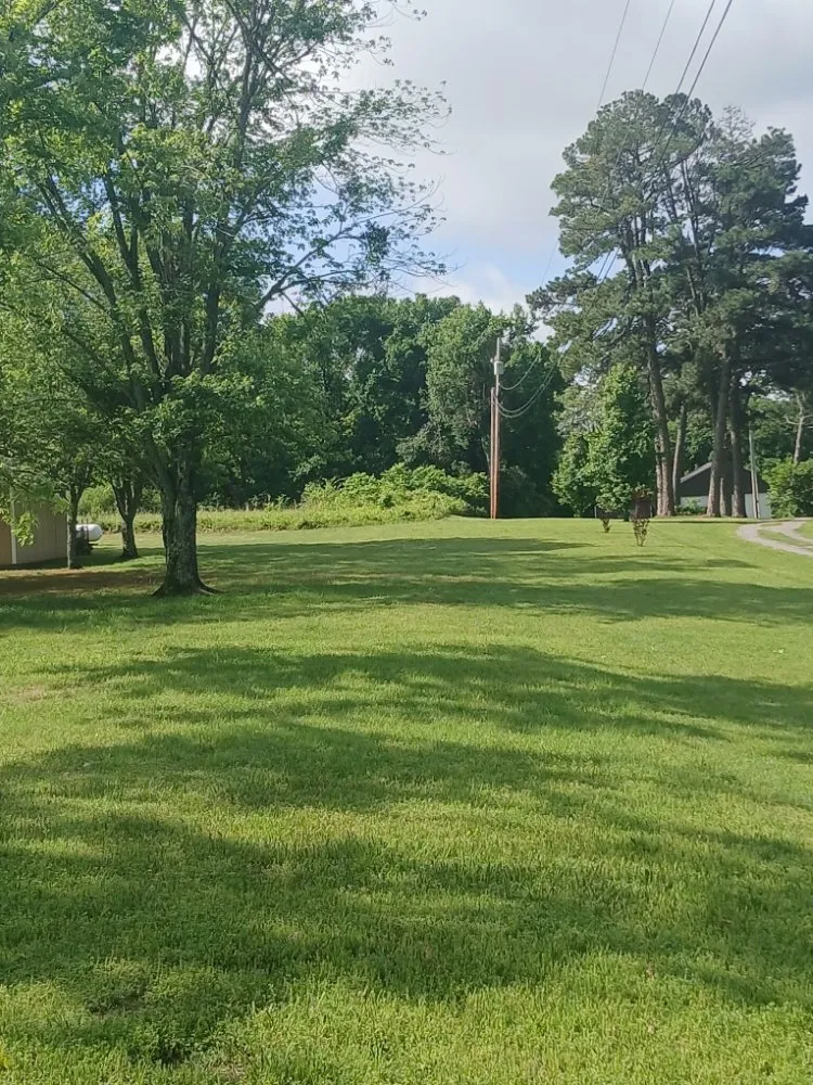Trusted landscape design experts serving Dyer, AR - Richeys Landscaping & Small Engine Repair