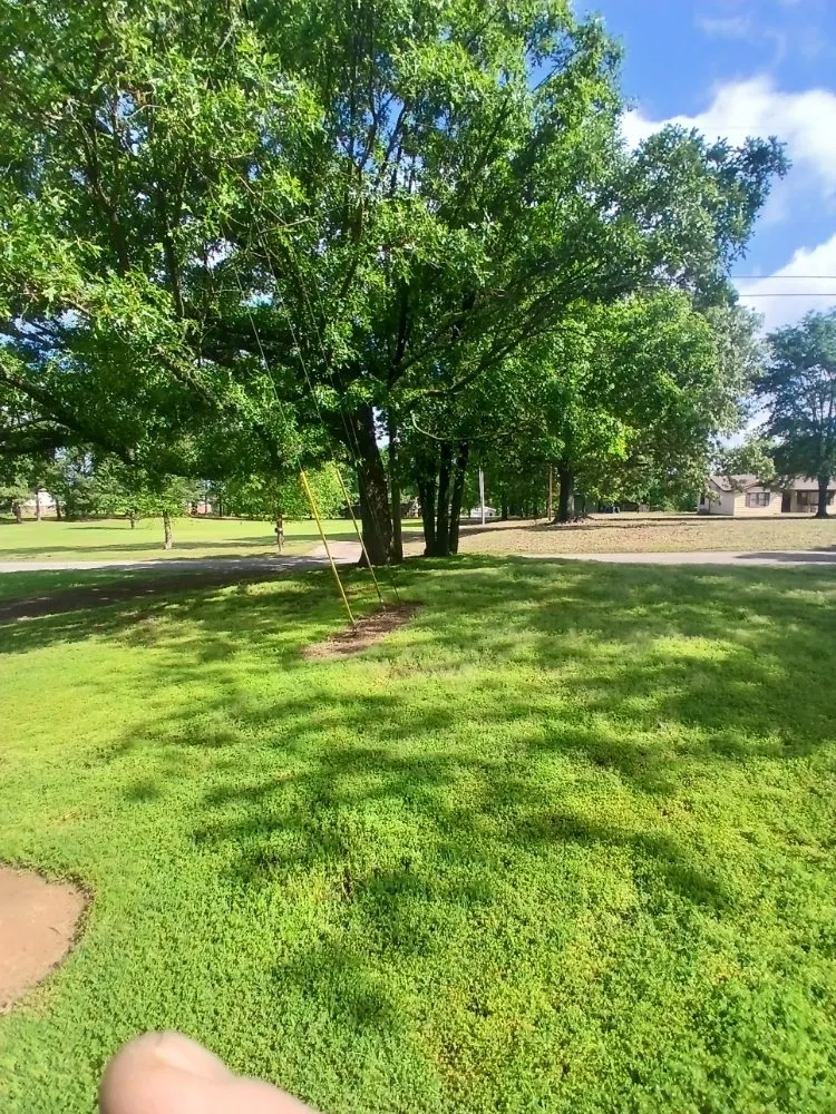 Top-rated outdoor landscaping near you in Dyer, AR by Richeys Landscaping & Small Engine Repair