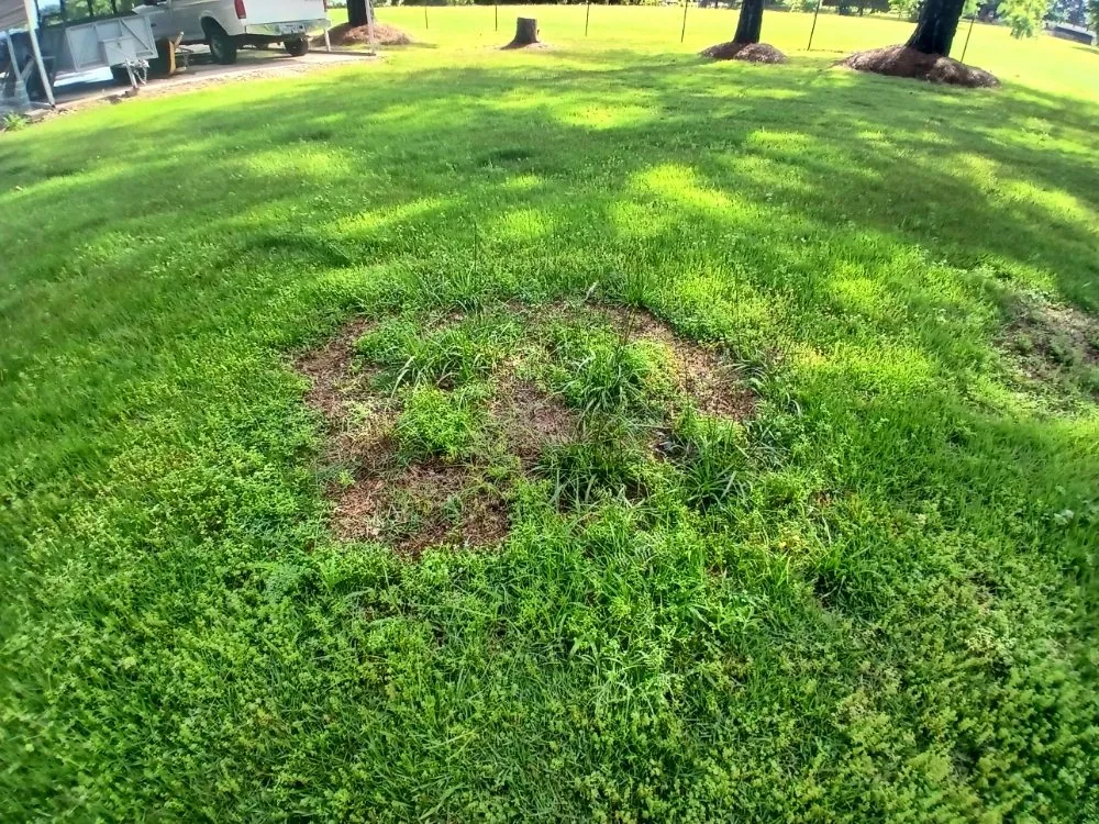 Professional landscape design in Dyer, AR - Richeys Landscaping & Small Engine Repair