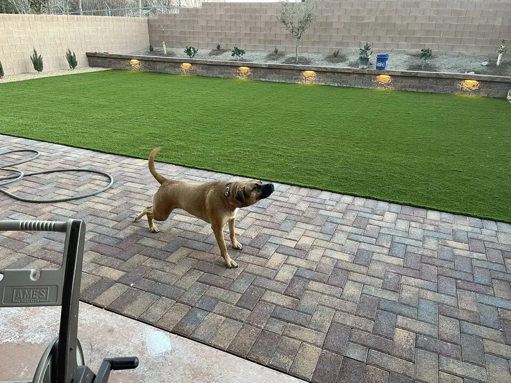 Trusted yard maintenance in Las Vegas, NV - Richie’s Maintenance and Landscape