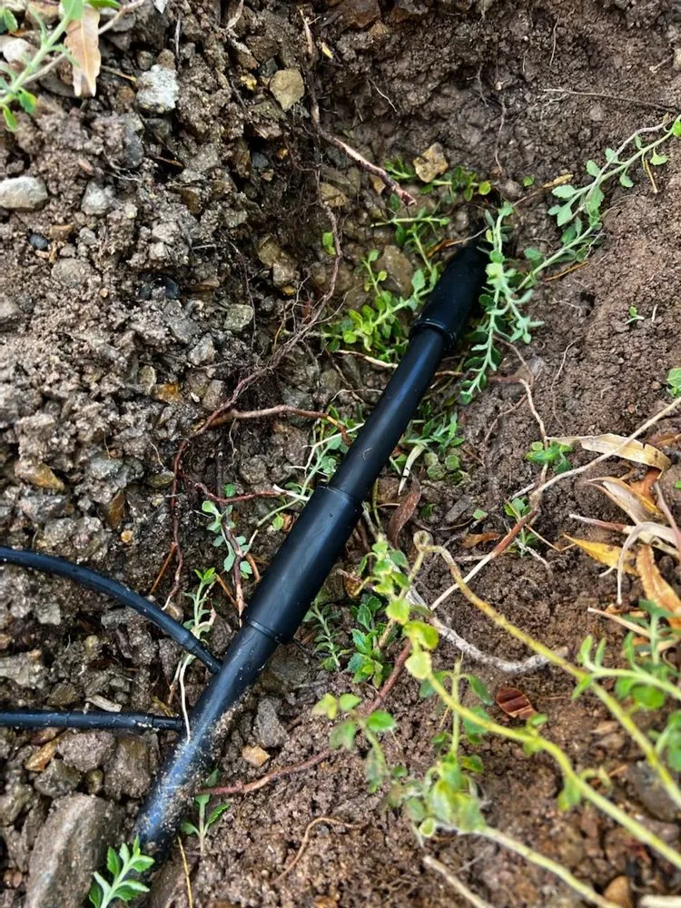 Reliable yard cleanup service for year-round maintenance across Las Vegas, NV - Richie’s Maintenance and Landscape