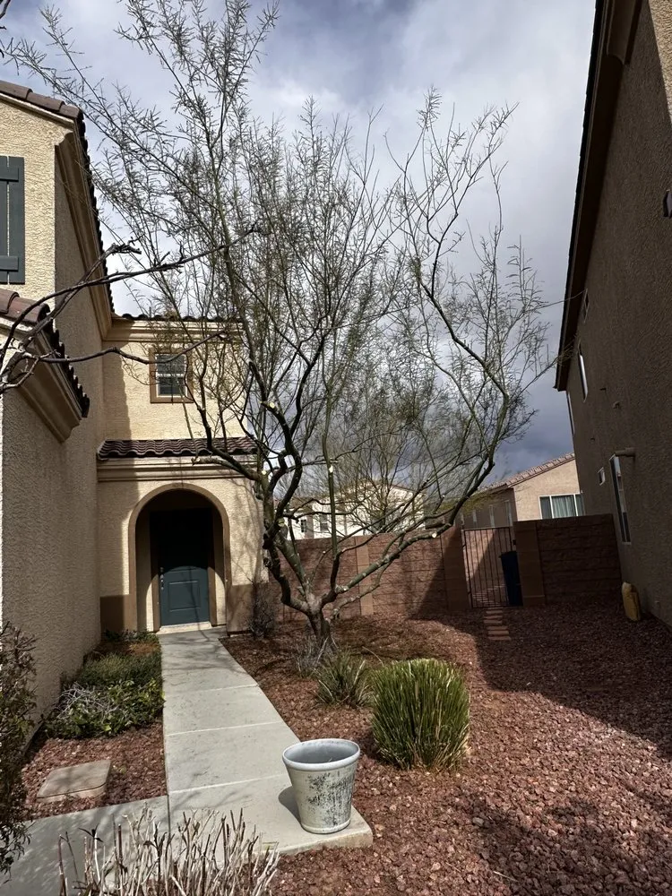 Professional landscaping services for residential properties across Las Vegas, NV - Richie’s Maintenance and Landscape