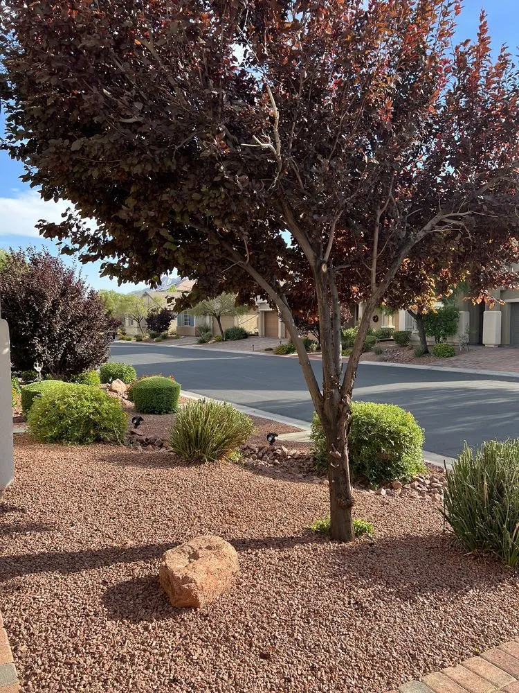 Expert landscape design for homes in Las Vegas, NV by Richie’s Maintenance and Landscape