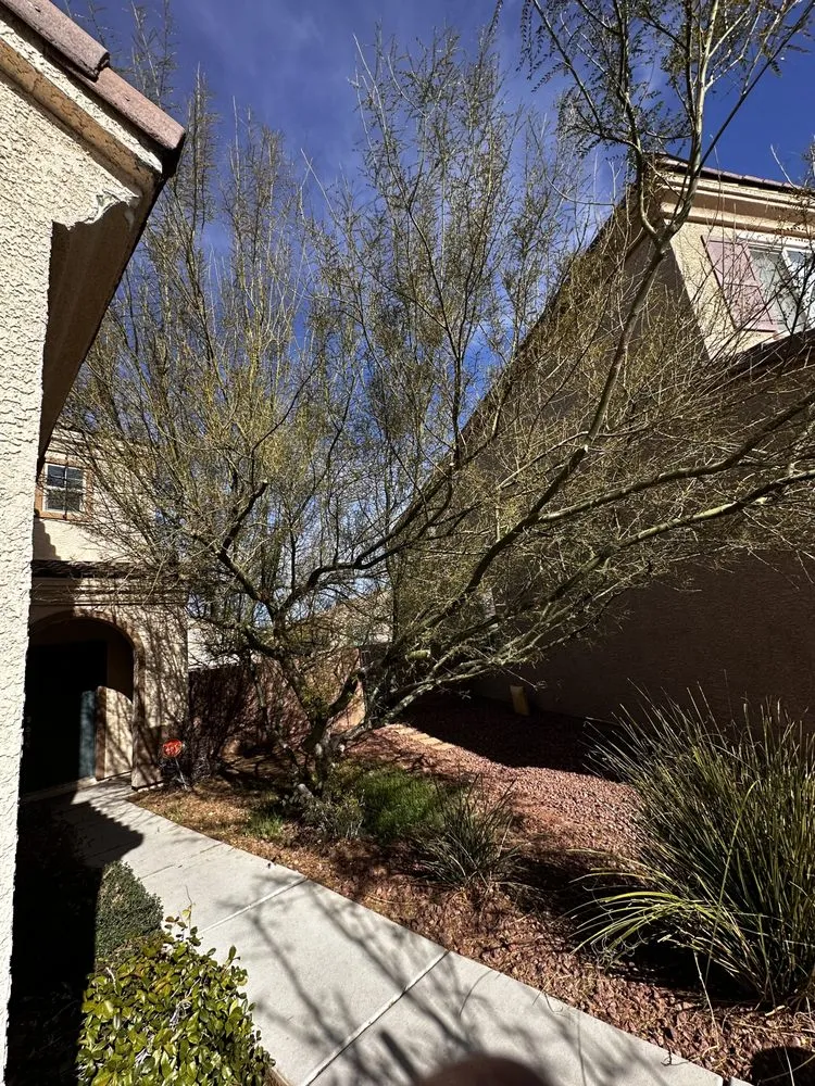 Local outdoor landscaping experts serving Las Vegas, NV - Richie’s Maintenance and Landscape