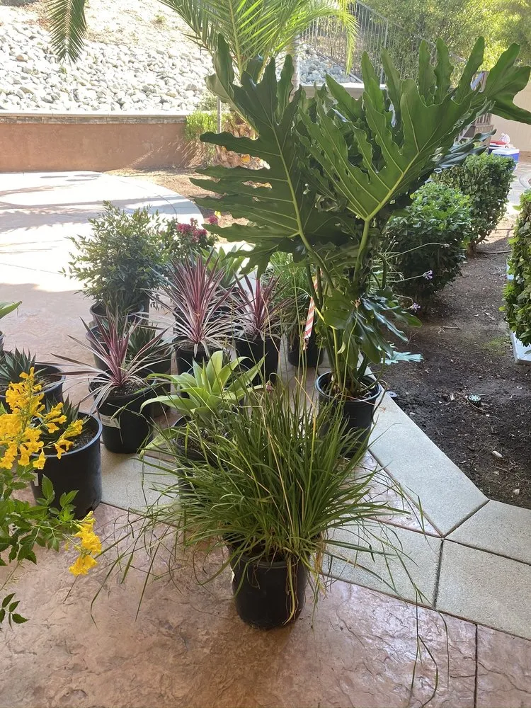 Reliable outdoor landscaping in Rancho Cucamonga, CA - Richie's Sprinklers & Lawn Service