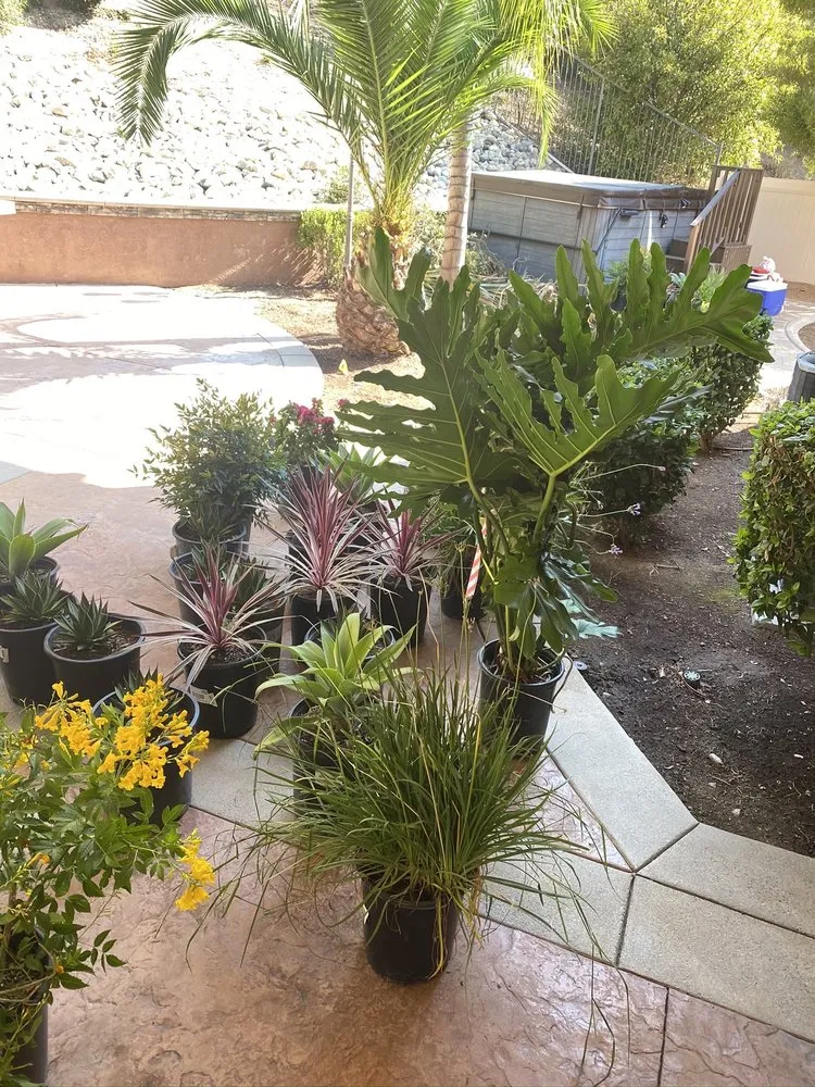 Affordable lawn mowing service in Rancho Cucamonga, CA - Richie's Sprinklers & Lawn Service