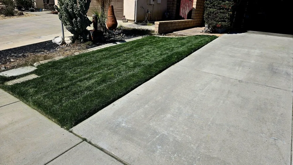 Top-rated residential landscaping in Rancho Cucamonga, CA by Richie's Sprinklers & Lawn Service
