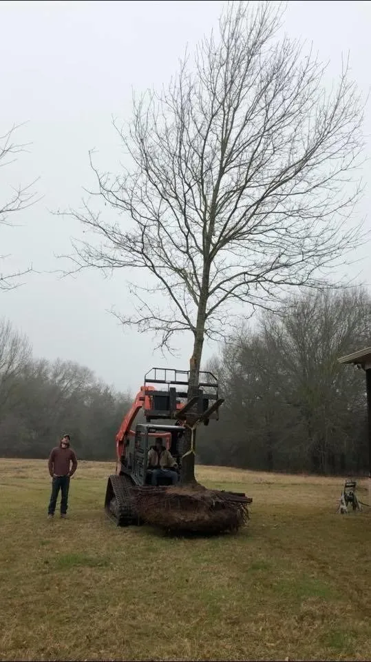 Top-rated yard cleanup service for residential properties in Streetman, TX by Richland Chambers Landscape & Irrigation