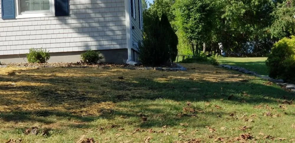 Professional landscape installation in Manchester, CT by Richman Family Landscape