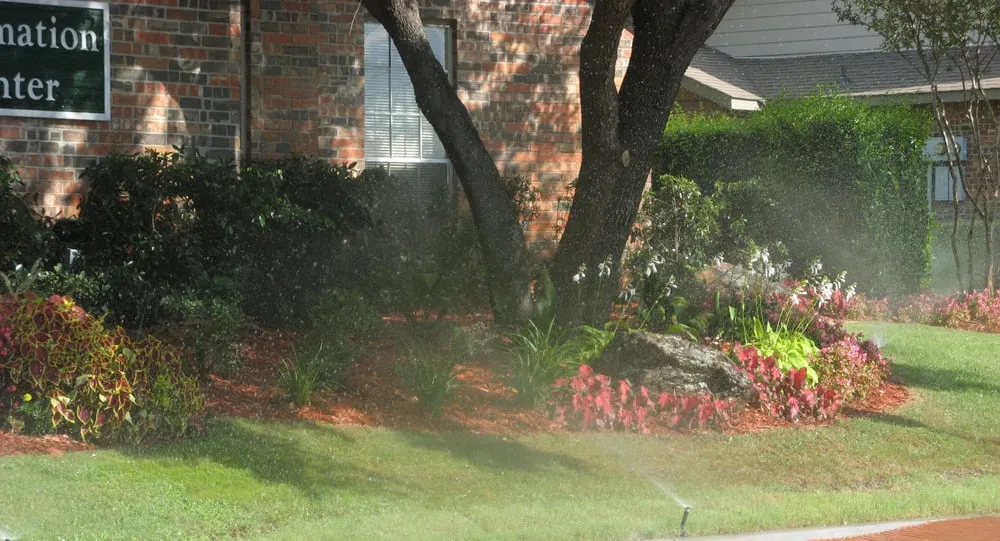 Local outdoor landscaping in Carrollton, TX by Richmond & Associates Landscaping