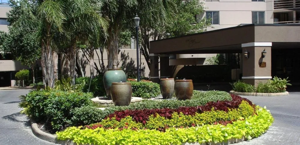 Expert yard cleanup service in Carrollton, TX - Richmond & Associates Landscaping