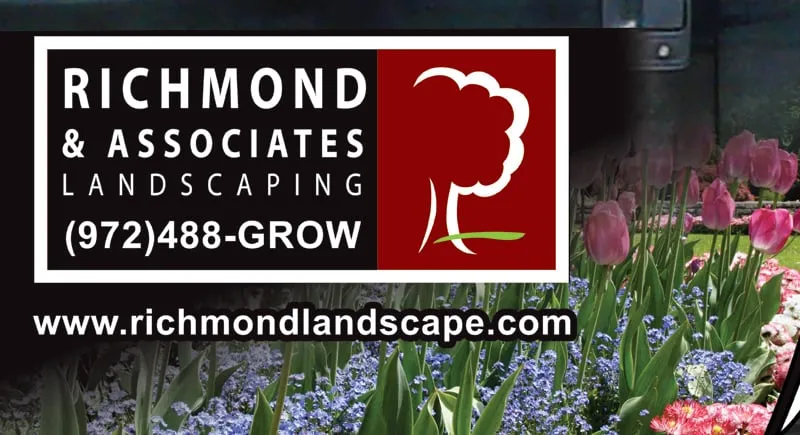 Reliable yard cleanup service in Carrollton, TX by Richmond & Associates Landscaping