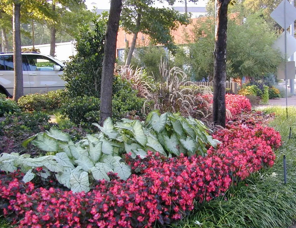 Professional landscape installation for year-round maintenance across Carrollton, TX - Richmond & Associates Landscaping