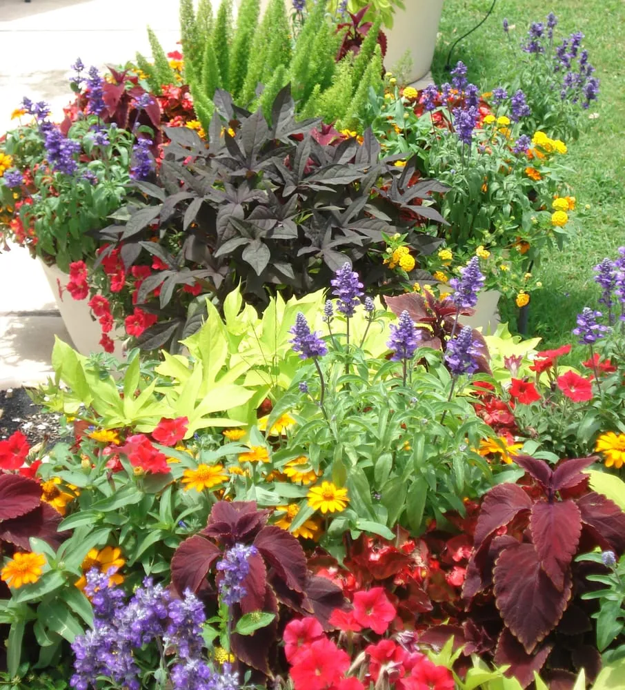 Custom yard cleanup service with custom design across Carrollton, TX - Richmond & Associates Landscaping