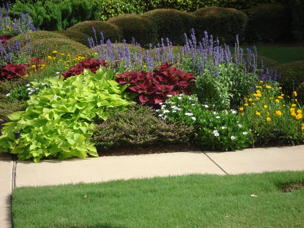 Professional garden landscaping in Carrollton, TX - Richmond & Associates Landscaping