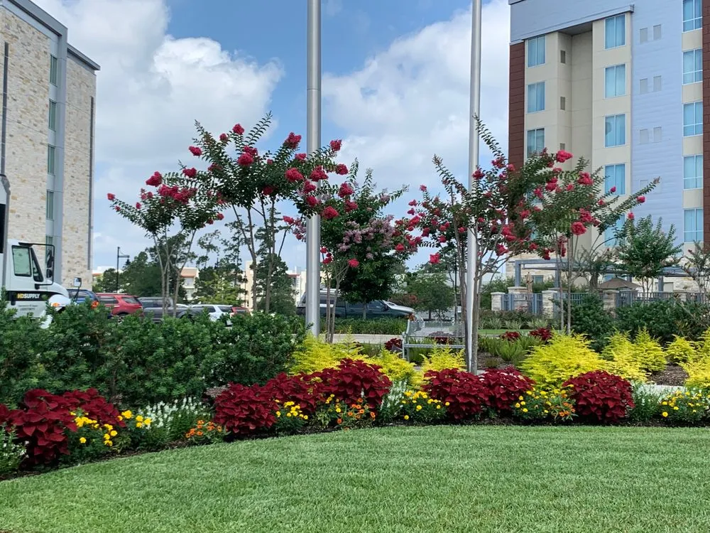 Expert yard cleanup service for outdoor upgrades in Houston, TX by Richmond & Associates Landscaping