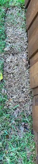 Expert outdoor landscaping experts serving Houston, TX - Richmond & Associates Landscaping