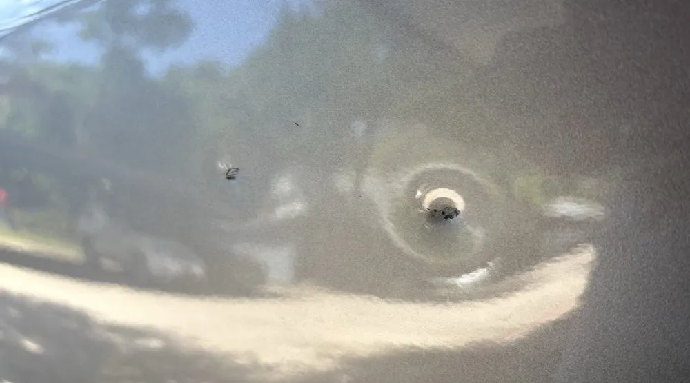 Top-rated landscape design experts serving Houston, TX - Richmond & Associates Landscaping