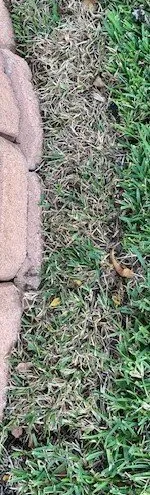 Reliable yard cleanup service in Houston, TX by Richmond & Associates Landscaping