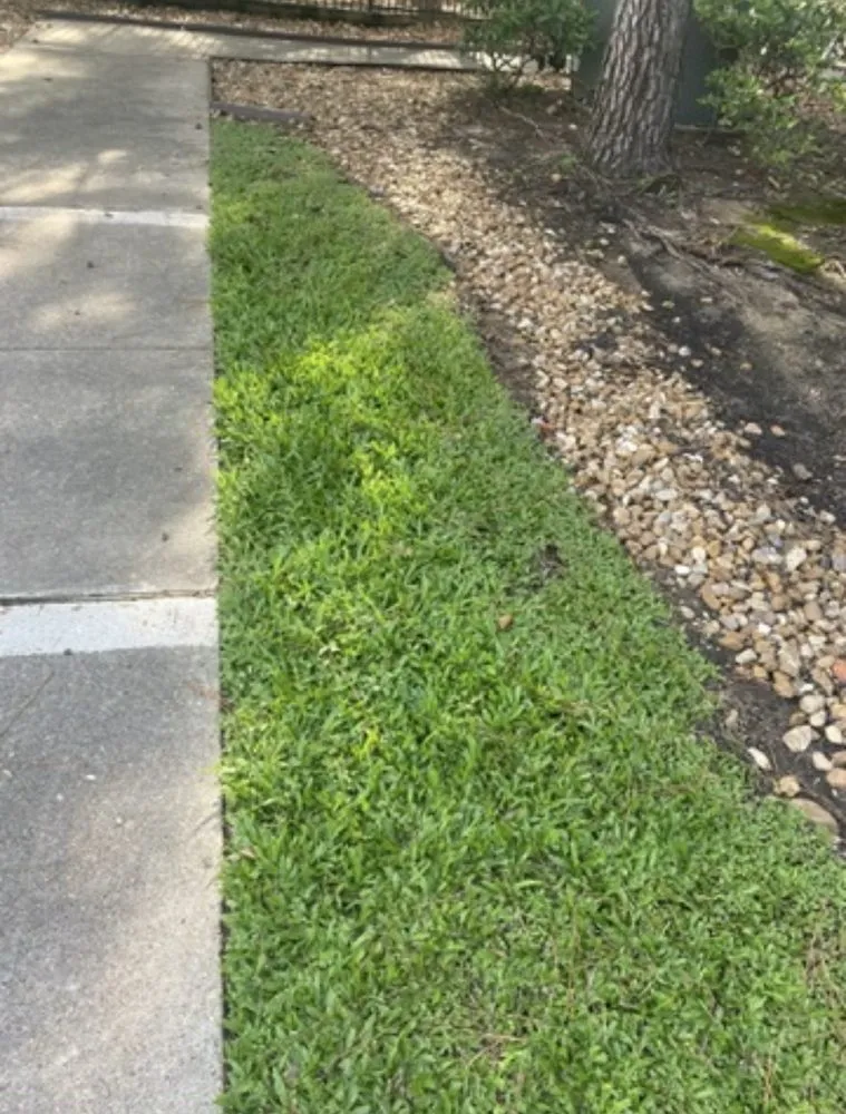 Reliable landscape design for beautiful yards across Houston, TX - Richmond & Associates Landscaping