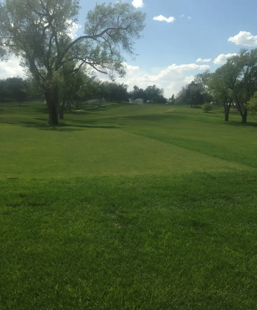 Reliable landscape installation for homes across Wylie, TX - Richmond Hydromulch and Seeding