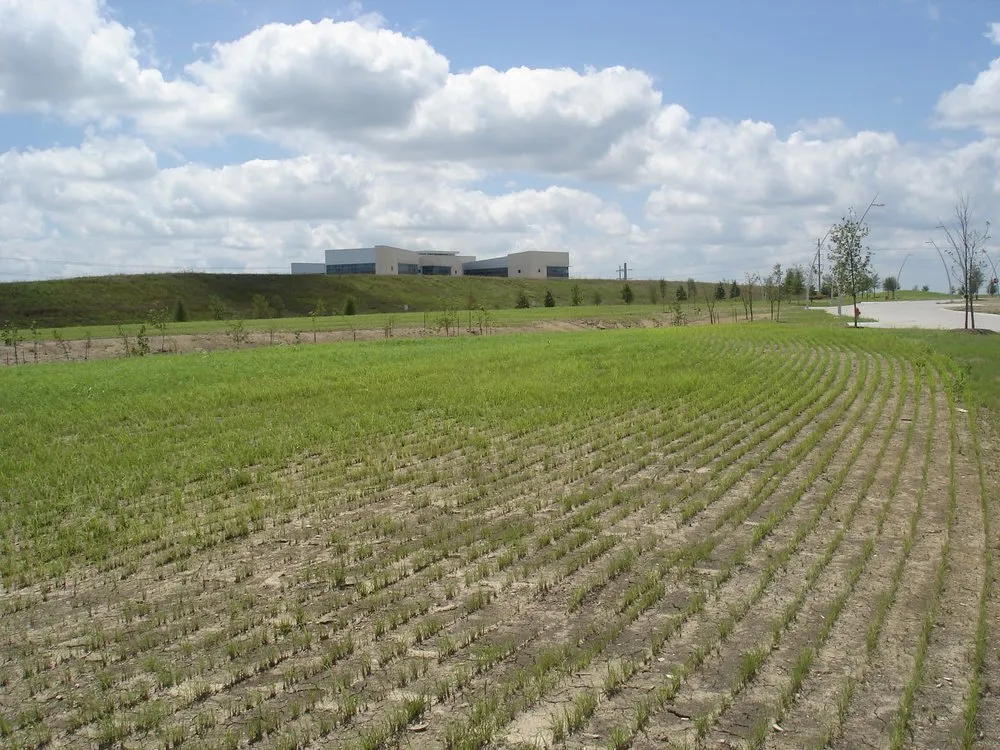 Affordable landscaping services in Wylie, TX - Richmond Hydromulch and Seeding