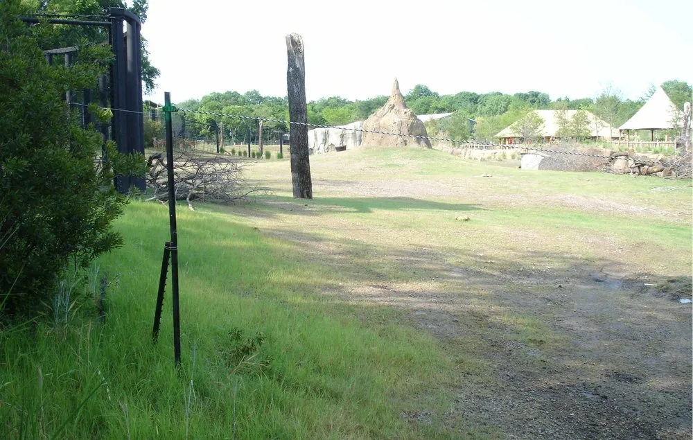 Professional lawn care service for year-round maintenance in Wylie, TX by Richmond Hydromulch and Seeding