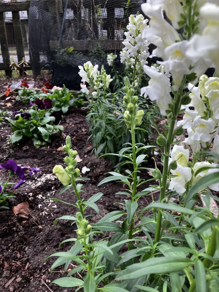 Trusted garden landscaping near you across Richmond, VA - Richmond Landscaping