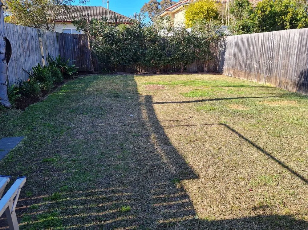 Trusted yard cleanup service near you across San Francisco, CA - Richmond Lawn Care