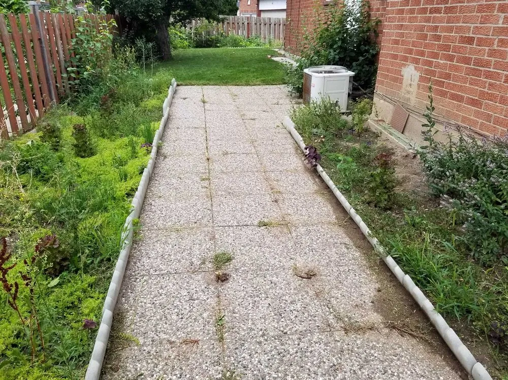 Top-rated landscape design for beautiful yards across San Francisco, CA - Richmond Lawn Care